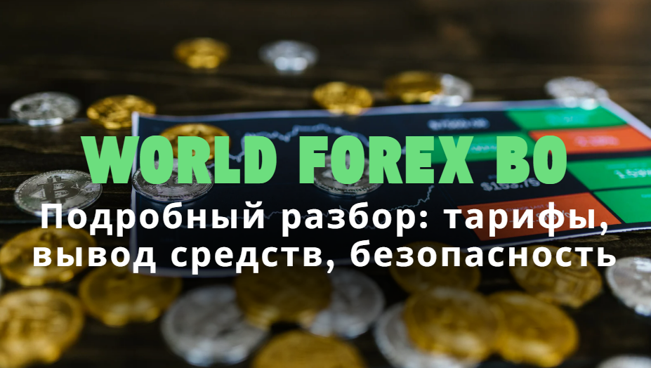 World Forex BO